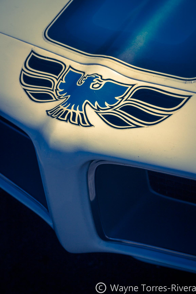 Illustration for article titled More Photos from Blackhawk Cars n' Coffee - August 6th 2017